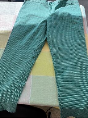 Banana Republic Teal Microdot Chino Pants
